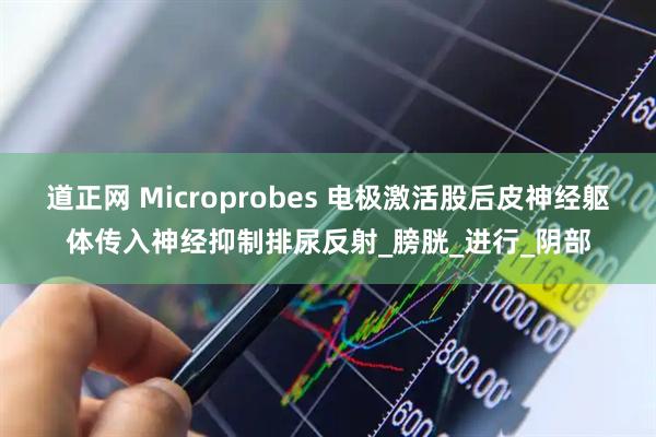 道正网 Microprobes 电极激活股后皮神经躯体传入神经抑制排尿反射_膀胱_进行_阴部