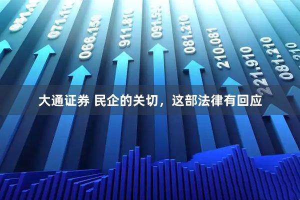 大通证券 民企的关切，这部法律有回应