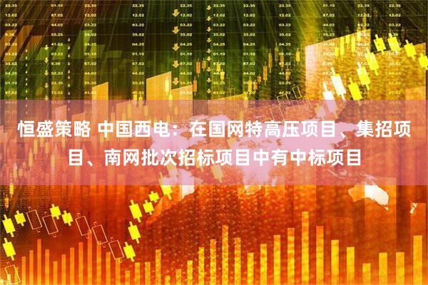恒盛策略 中国西电：在国网特高压项目、集招项目、南网批次招标项目中有中标项目
