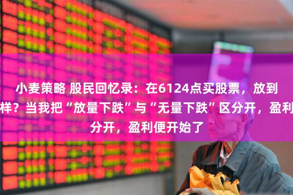小麦策略 股民回忆录：在6124点买股票，放到现在会怎样？当我把“放量下跌”与“无量下跌”区分开，盈利便开始了
