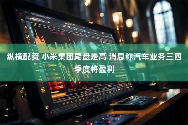 纵横配资 小米集团尾盘走高 消息称汽车业务三四季度将盈利