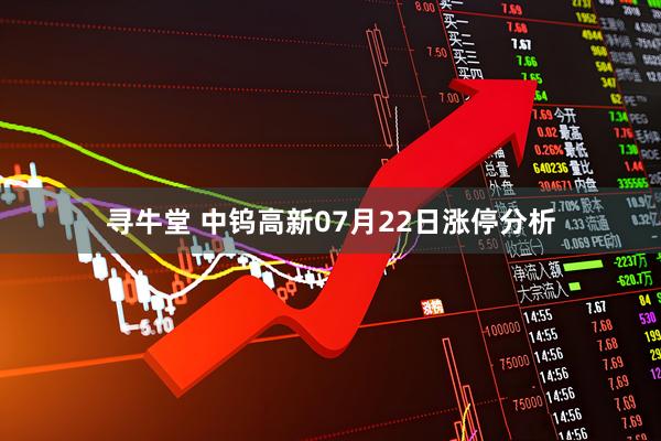寻牛堂 中钨高新07月22日涨停分析
