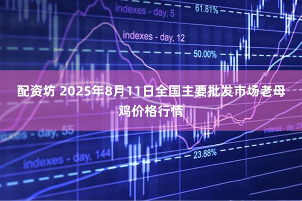 配资坊 2025年8月11日全国主要批发市场老母鸡价格行情