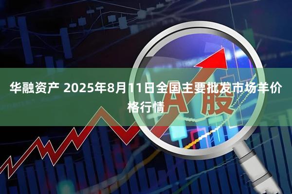 华融资产 2025年8月11日全国主要批发市场羊价格行情
