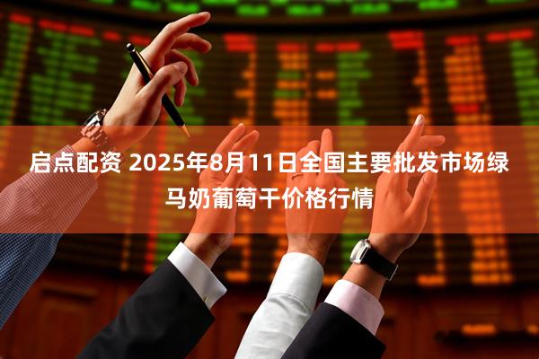 启点配资 2025年8月11日全国主要批发市场绿马奶葡萄干价格行情