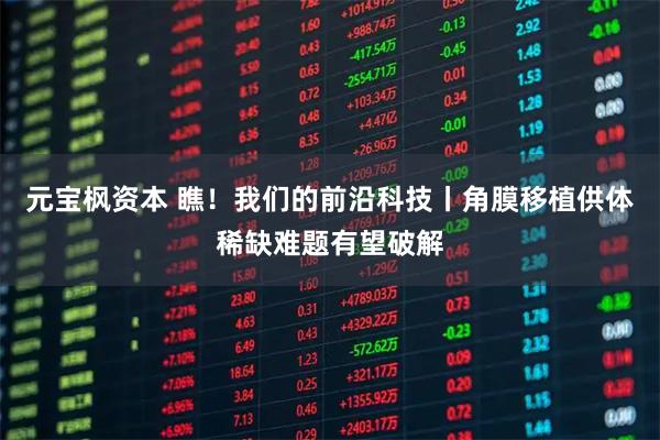 元宝枫资本 瞧!我们的前沿科技丨角膜移植供体稀缺难题有望破解