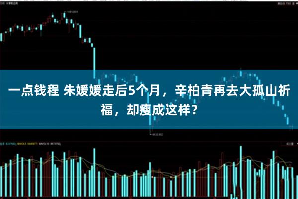 一点钱程 朱媛媛走后5个月，辛柏青再去大孤山祈福，却瘦成这样？