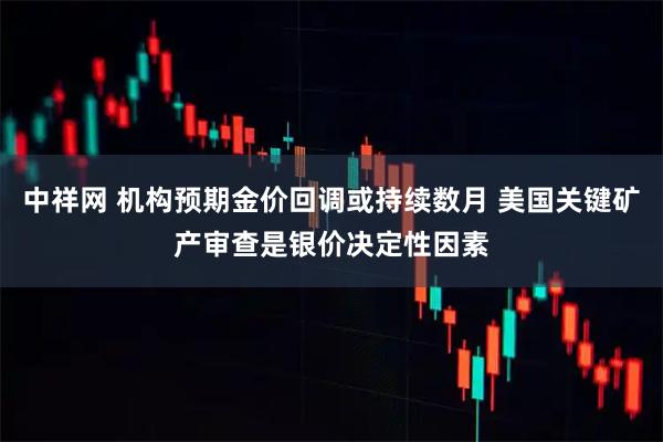 中祥网 机构预期金价回调或持续数月 美国关键矿产审查是银价决定性因素