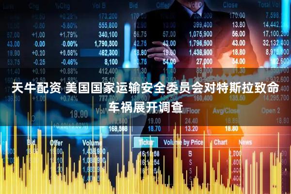 天牛配资 美国国家运输安全委员会对特斯拉致命车祸展开调查